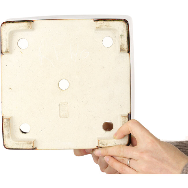 Vierkante kastanjebruine en goudkleurige bonsaipot van Reiho - 230 x 230 x 150 mm