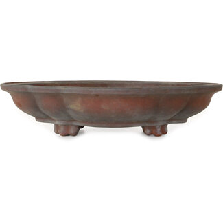  Zenigo (Matsushita Masuo) 388 mm  unglazed bonsai pot by Izumiya (Zenigo), Japan