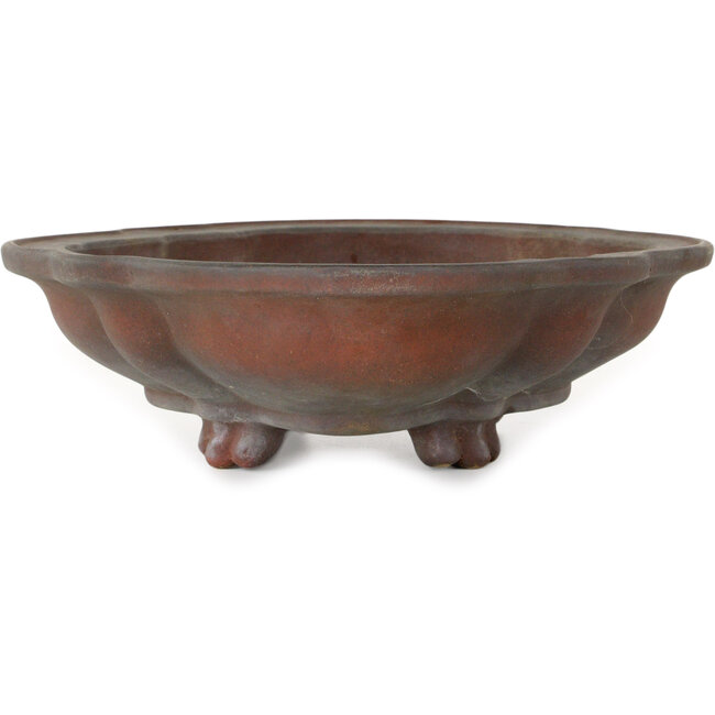 Pot à bonsaï Mokko non émaillé par Izumiya (Zenigo) - 388 x 298 x 85 mm