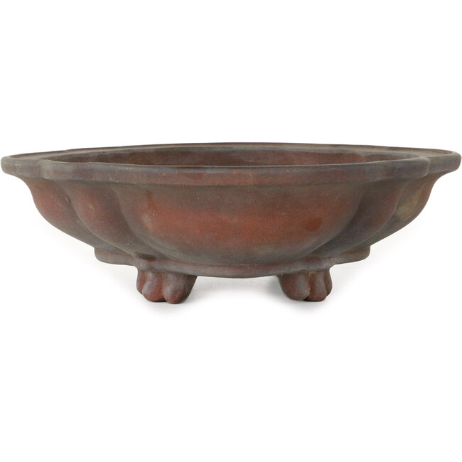 Vaso bonsai Mokko non smaltato di Izumiya (Zenigo) - 388 x 298 x 85 mm