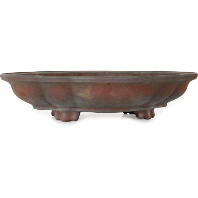 Mokko unglazed bonsai pot by Izumiya (Zenigo) - 388 x 298 x 85 mm