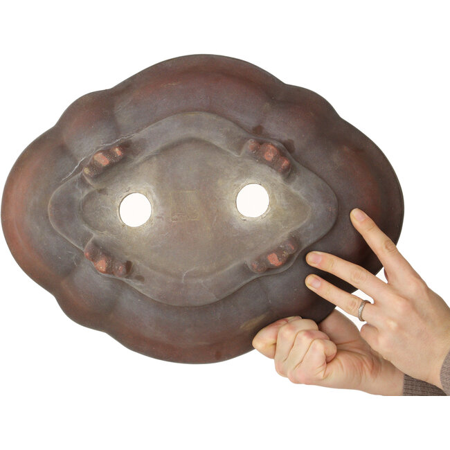 Mokko ongeglazuurde bonsaipot van Izumiya (Zenigo) - 388 x 298 x 85 mm