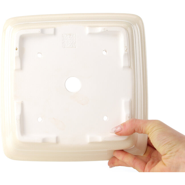 Square ivory bonsai pot by Yixing - 210 x 210 x 65 mm