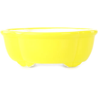 Yixing Vaso per bonsai mokko giallo da 135 mm di Yixing, Cina