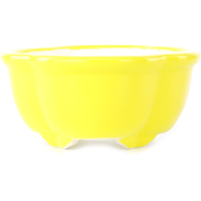 Maceta para bonsai Mokko amarilla de Yixing - 135 x 110 x 50 mm
