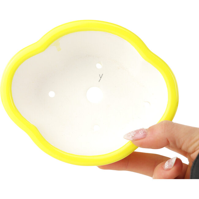 Vaso bonsai Mokko giallo di Yixing - 135 x 110 x 50 mm