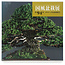 Kokufu Bonsai Exhibition catalogue n° 94 - 2020