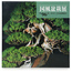 Kokufu Bonsai Catálogo de exposición n° 96 - 2022