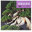 Kokufu Bonsai Ausstellungskatalog Nr. 98 – 2024