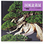 Kokufu Bonsai Tentoonstellingscatalogus nr. 98 - 2024