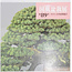 Catalogue de l'exposition Kokufu Bonsai n° 89 - 2015