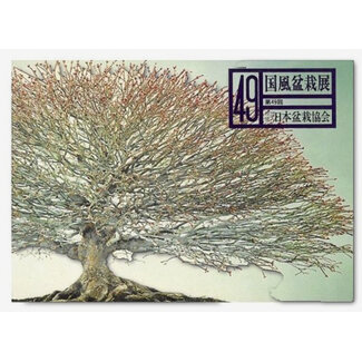 Kokufu Ten Nr. 49 - 1975