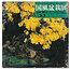Kokufu-Bonsai-Ausstellungskatalog Nr. 55 – 1981