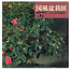 Kokufu Bonsai Exhibition catalogue n° 57 - 1983