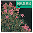 Catalogo della mostra Kokufu Bonsai n° 67 - 1993