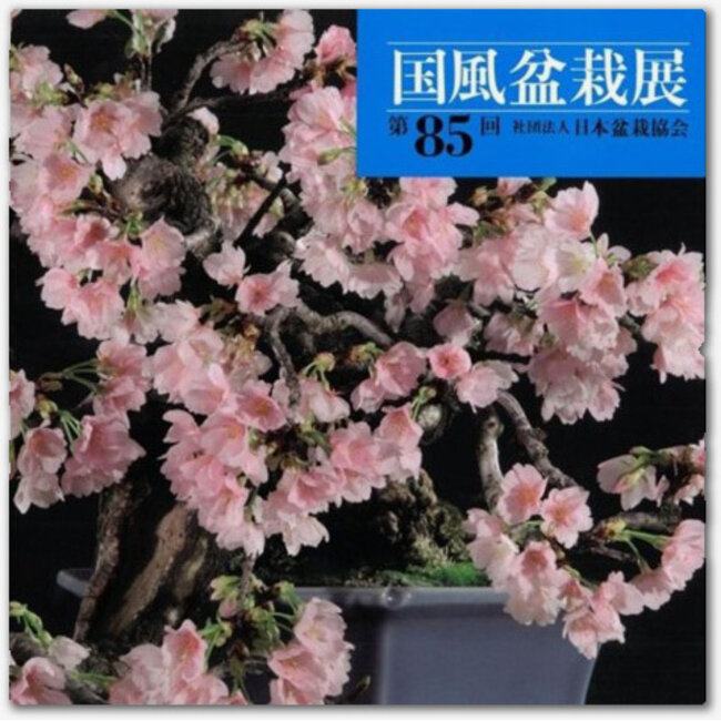 Catalogo della mostra Kokufu Bonsai n° 85 - 2011