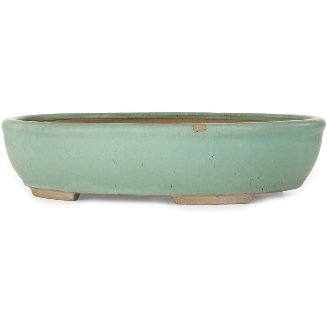 Maceta ovalada verde para bonsái - 442 x 375 x 103 mm