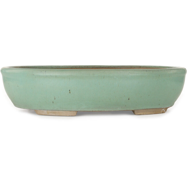 Oval green bonsai pot - 442 x 375 x 103 mm