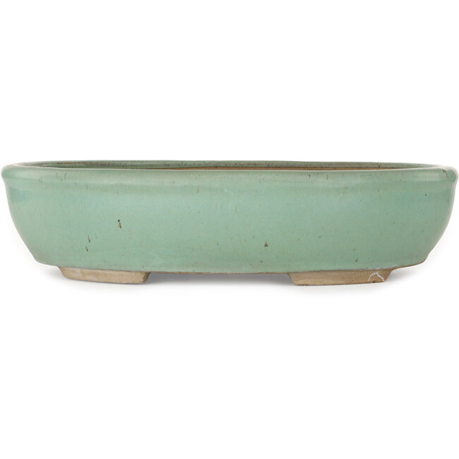 Oval green bonsai pot - 442 x 375 x 103 mm
