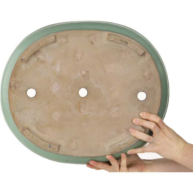 Pot ovale vert pour bonsaï - 442 x 375 x 103 mm