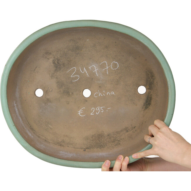 Vaso bonsai ovale verde - 442 x 375 x 103 mm