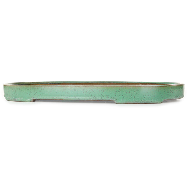 Oval green bonsai pot by Yamafusa - 462 x 323 x 40 mm