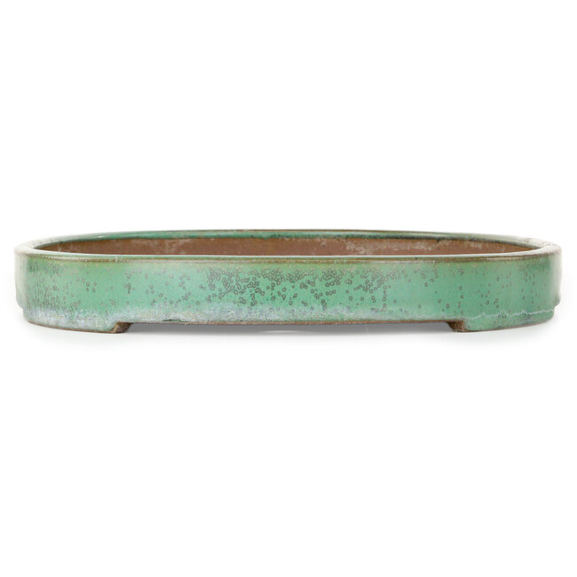 Oval green bonsai pot by Yamafusa - 462 x 323 x 40 mm