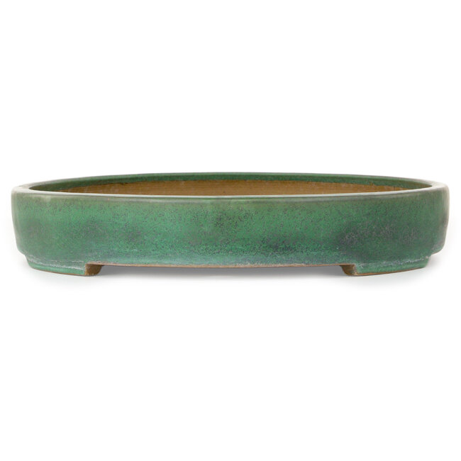 Maceta ovalada verde para bonsái de Yamafusa - 465 x 340 x 57 mm
