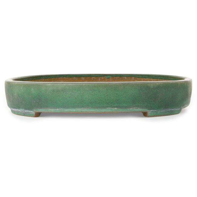 Oval green bonsai pot by Yamafusa - 465 x 340 x 57 mm