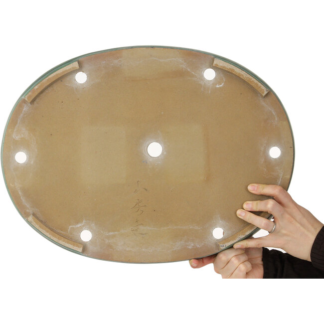 Ovale groene bonsaipot van Yamafusa - 465 x 340 x 57 mm