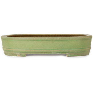  Hattori Tomoyuki Maceta para bonsái verde de 442 mm de Hattori, Tokoname, Japón