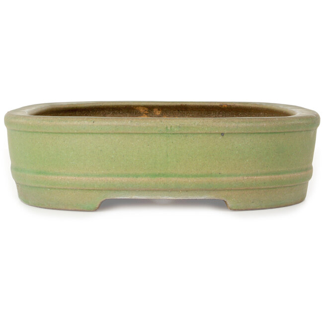 Oval green bonsai pot by Hattori - 442 x 335 x 90 mm