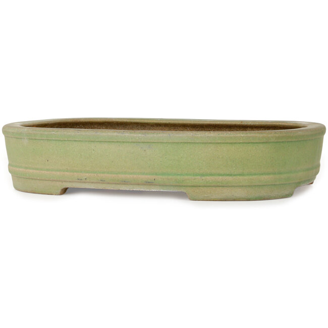 Oval green bonsai pot by Hattori - 442 x 335 x 90 mm