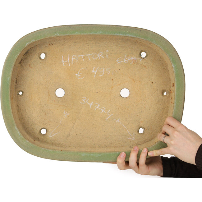 Oval green bonsai pot by Hattori - 442 x 335 x 90 mm