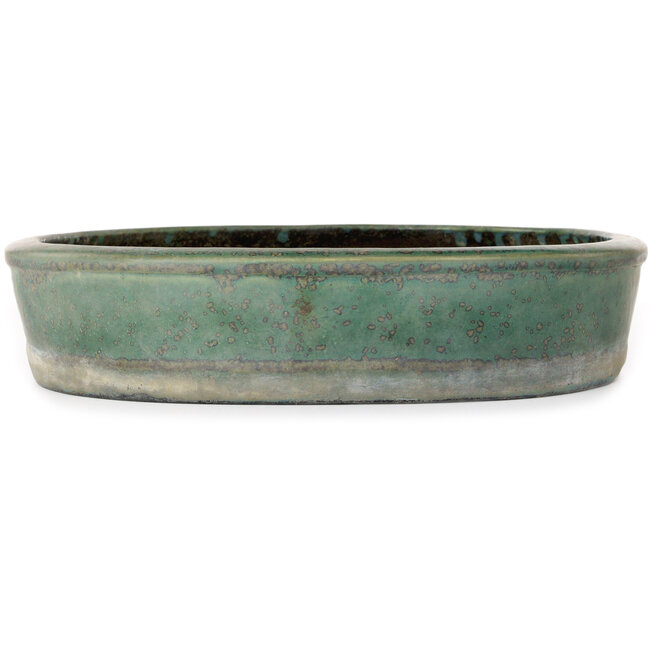 Maceta ovalada para bonsái verde de Aiba Koyou - 370 x 325 x 68 mm
