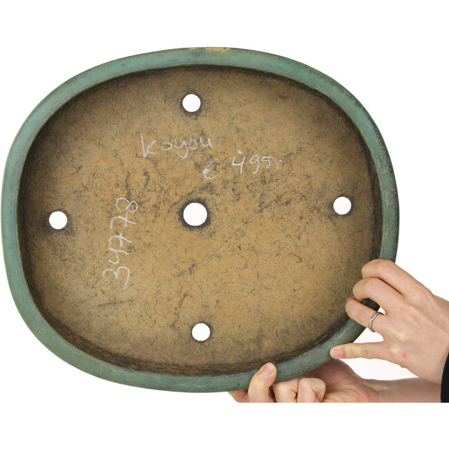 Pot à bonsaï ovale vert par Aiba Koyou - 370 x 325 x 68 mm