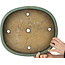 Pot à bonsaï ovale vert par Aiba Koyou - 370 x 325 x 68 mm