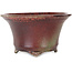 Round red bonsai pot by Shuhou - 302 x 302 x 170 mm