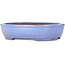 Oval light blue bonsai pot by Yamafusa - 308 x 255 x 72 mm