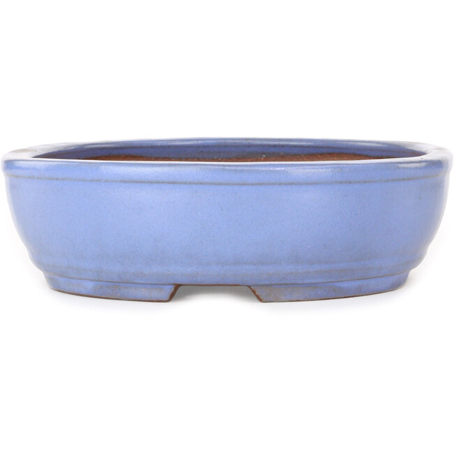 Oval light blue bonsai pot by Yamafusa - 308 x 255 x 72 mm