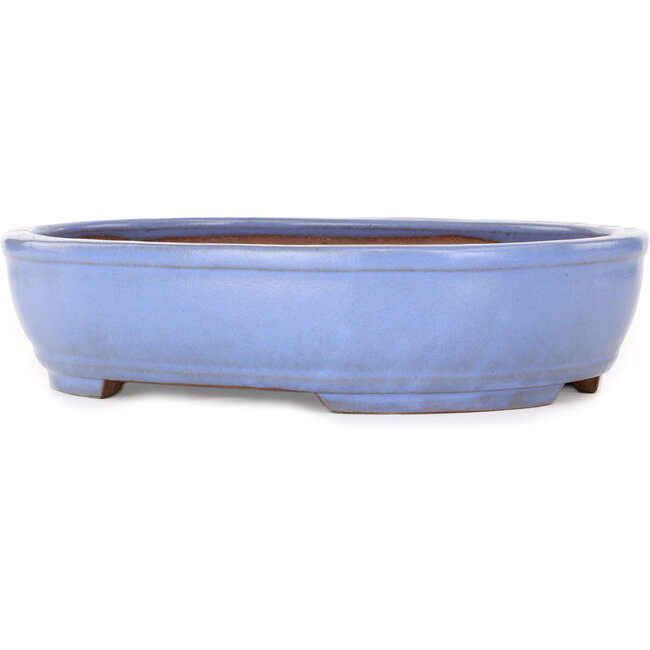 Ovale lichtblauwe bonsaipot van Yamafusa - 308 x 255 x 72 mm