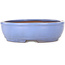 Oval light blue bonsai pot by Yamafusa - 308 x 255 x 72 mm