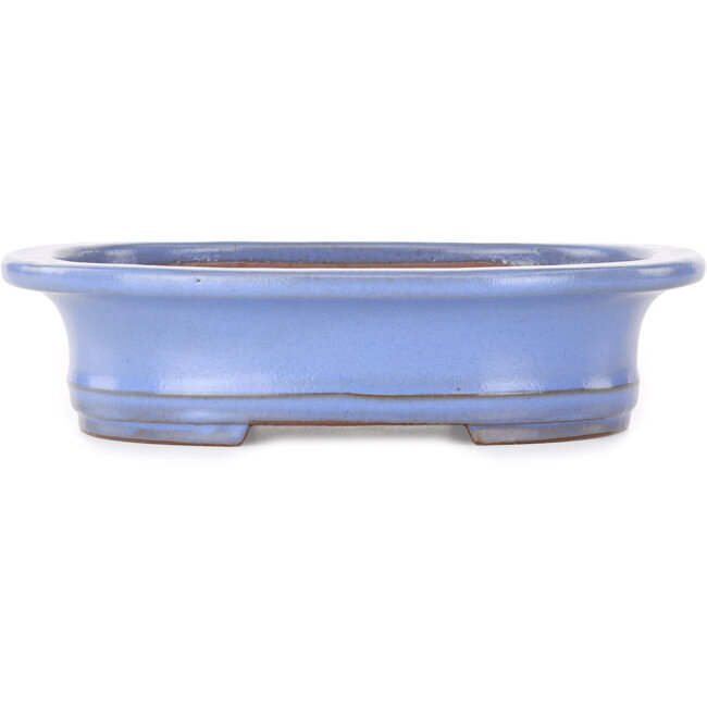Oval light blue bonsai pot by Yamafusa - 247 x 203 x 62 mm