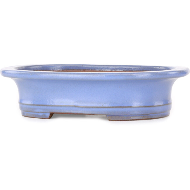 Pot à bonsaï ovale bleu clair de Yamafusa - 247 x 203 x 62 mm