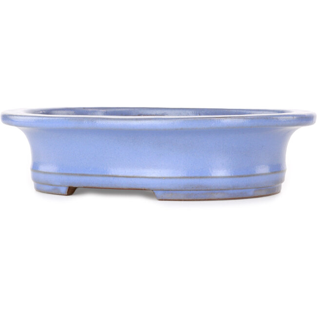 Pot à bonsaï ovale bleu clair de Yamafusa - 247 x 203 x 62 mm