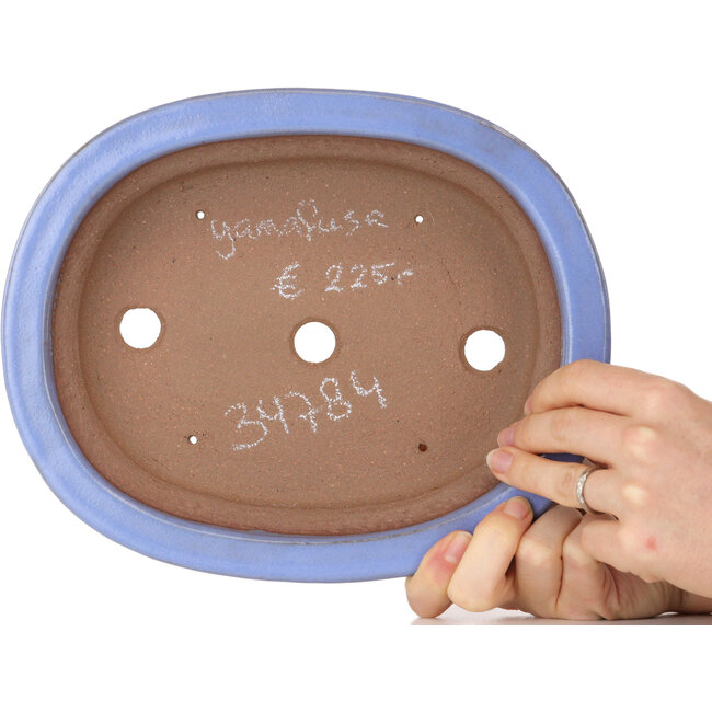 Ovale lichtblauwe bonsaipot van Yamafusa - 247 x 203 x 62 mm