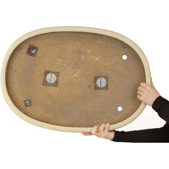 Pot à bonsaï ovale blanc cassé - 660 x 470 x 72 mm