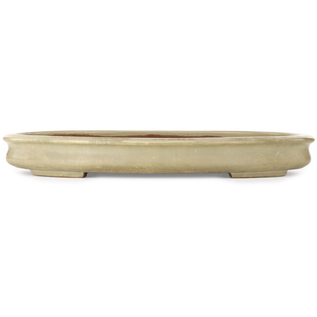 Oval off-white bonsai pot by Kakuzan - 560 x 403 x 70 mm