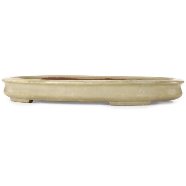 Oval off-white bonsai pot by Kakuzan - 560 x 403 x 70 mm