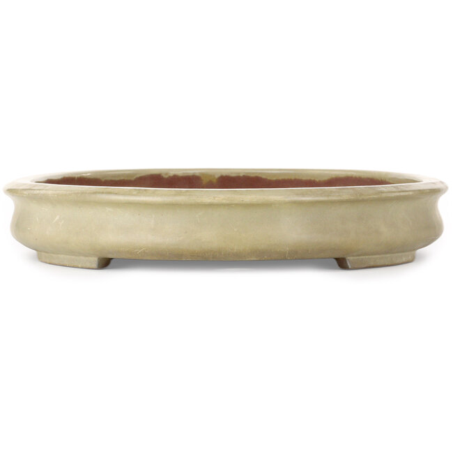 Oval off-white bonsai pot by Kakuzan - 560 x 403 x 70 mm